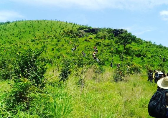 towermiracle-20231120-0001