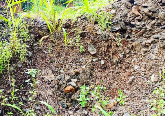 towermiracle-20231120-0006